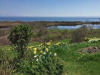 Sea Breeze Inn New Shoreham Luaran gambar